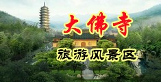 艹逼鸡巴中国浙江-新昌大佛寺旅游风景区